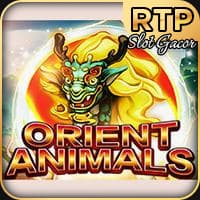 RTP jdb  turbobet168